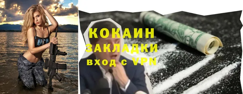 Cocaine Fish Scale  дарнет шоп  Кирс 